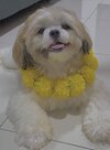 IMG_3167.jpeg
