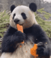 1000223845.gif