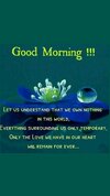 97009b11c1e1ed74f1deb041d8cad6ea.jpg