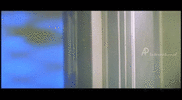 1000388169.gif