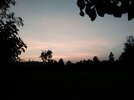 IMG_20260705_195228.jpg