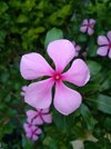 IMG_20260627_193122.jpg