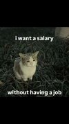 1000006662.jpg