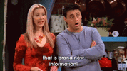 friends-phoebe.gif