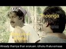IMG_8768.jpeg