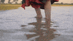 IMG_9138.gif