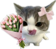 1000097153.png 1000097153.png