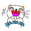 white-cat.gif
