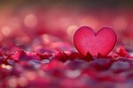 romantic-heart-symbol-amidst-rose-petals-background-for-valentine-s-day-design-photo.jpg
