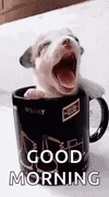 1000300061.gif