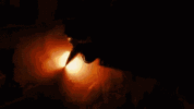 1000232821.gif
