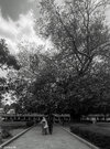 IMG_2689.jpeg
