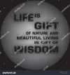 1785145169774.png
