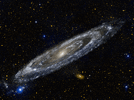 1000233538.gif