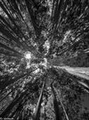 IMG_4187.jpeg