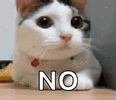 1000580153.gif