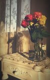 IMG_9595.jpeg