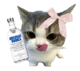 1000344678.png