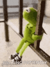 1000406770.gif