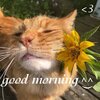 e62d45c1117123ac3a8035cfac6f61e3.jpg
