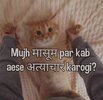 00747e1d45b77a1ac75235a5fa15e864.jpg