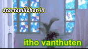 1786457047020.gif