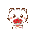 7102e1771b31ce3665a3f15522a603b6.gif