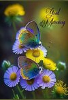 Screenshot_2026-08-15-08-37-08-163_com.pinterest-edit.jpg