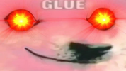 1787374378854.png