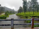 IMG20260730123206.jpg
