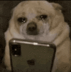 1000088232.gif