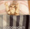 1000590757.gif