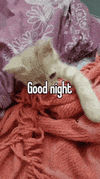1000590758.gif
