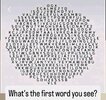 1787558213270.jpg