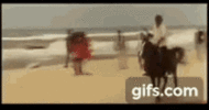 1000090131.gif