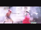 AnnualScornfulBeetle-size_restricted.gif