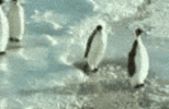 1788522260619.gif