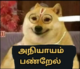 1000092231.png