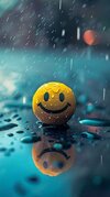 images (59).jpeg