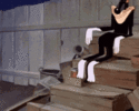 1000144253.gif