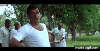 1000045684.gif 1000045684.gif