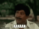1000288049.gif