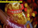 1000094247.gif