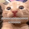 71953.gif