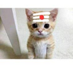 1789279618817.png