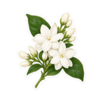 1000171954.png 1000171954.png
