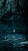 1000208614.jpg