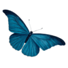 InShot_20260919_105558120.png InShot_20260919_105558120.png