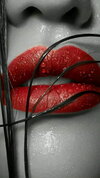 HD-wallpaper-lip-red-lip.jpg HD-wallpaper-lip-red-lip.jpg