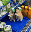 1000623430.gif